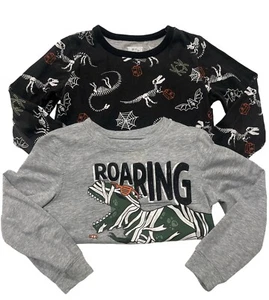 Toddler Boy’s Halloween Long-Sleeve T-Shirts; 5T; Bundle / lot of 2 - Picture 1 of 9