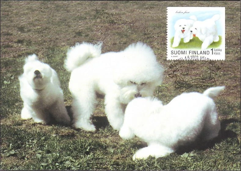 Caniche Bichón Frise Cachorros Perro Finlandia Como Nuevo Maxi FDC 1998 Foto 1 de 1