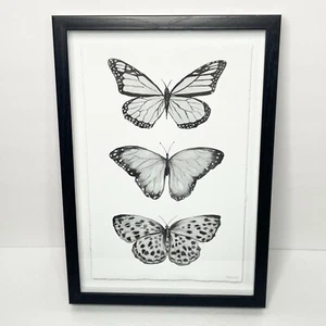 Marmont Hill Butterfly Trio Framed Shadowbox Art Print 13.5”x9.5” - Picture 1 of 4