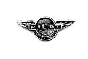 Ala de metal para niños piloto Airline Jr genérico - Imagen 1 de 2