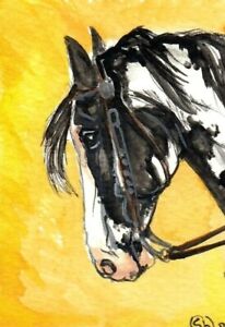 ACEO original Watercolor Art Card Horse black & White Frame Overo + Western plsr