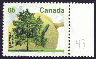 Árvores frutíferas Canadá sc#1367: nogueira preta, usadas - Imagem 1 de 2