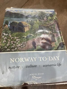 Norway To-Day Norge A Book Nature Culture Economics Norwegian Culture Translated - Bild 1 von 24