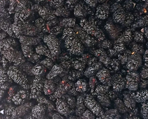 Fruta de morera - Hierba de té de boticario seca Morus nigra 0,5 - 4 oz - Imagen 1 de 6