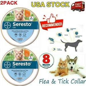 2Pack Cats Collar, prevention and Treat 8 Months