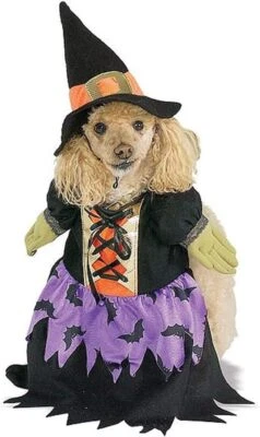 Lindo disfraz de bruja hechizada negro púrpura Halloween mascota perro gato Foto 1 de 2