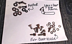 1967 Datsun Roadster 1600 Door Hinge Interior Lower Door Trim Fender Bolts screw - Picture 1 of 4