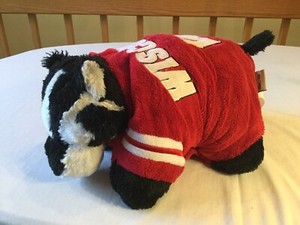 wisconsin badger dog apparel