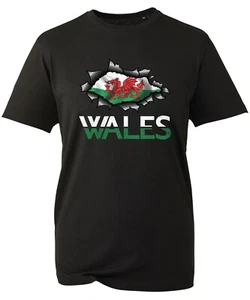 Camiseta del Día de San David, Dewi Hapus Dragón Galés Evento Fiesta Unisex Adultos Top - Imagen 1 de 1
