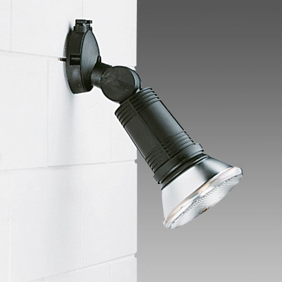 Csse Disano 43180100 Faretto/proiettore Dafne 1220 Max 100w S Nero