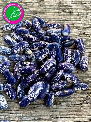 BAMBERGER BLAUE BUSCHBOHNE 🫘 10+ Bohnen ♥️ tolles Farbenspiel super Geschmack - Bild 1 von 4