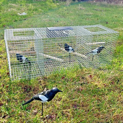 Larsen trap double top entry capture cage CROW magpie larson TrapMan - Image 1 of 4