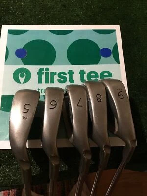Ping G2 Blue Dot Irons Set HL 5-9 Irons Regular Cushin Steel Shafts - Image 1 of 4