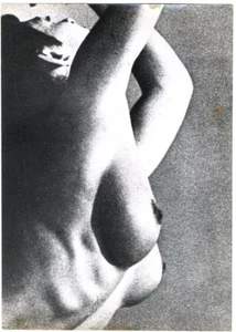 c.1970 PHOTO KREUTSCHMANN NUDE LARGE PRINT # 529 - Picture 1 of 1