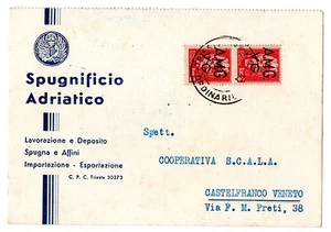 SPUGNIFICIO ADRIATICO TRIESTE LEONE SAN MARCO AMG VG COPPIA 2 LIRE LUOGOTENENZA - Foto 1 di 1
