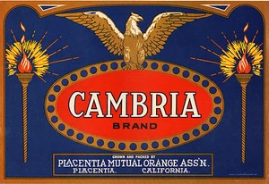 *Original* CAMBRIA Placentia Eagle Antorchas Limón Caja Etiqueta ¡NO ES UNA COPIA!! - Imagen 1 de 1