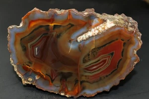 Condor agate Large collector specimen (fluorescent) - Picture 1 of 5