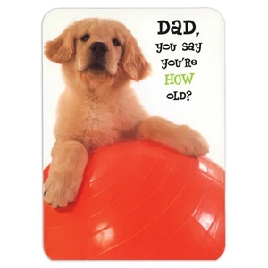Cute HAPPY BIRTHDAY Card FOR DAD, Golden Retriever Puppy Dog by RSVP + Envelopes - Picture 1 of 5