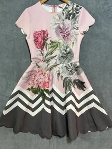 TED BAKER LONDON Hailie Shift Dress Pink Floral Modern Size 2 Classic Designer - Picture 1 of 12