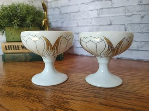 RS Germany Green Mark Tillowitz Silesia Porcelain Floral Sorbet Dishes - Picture 1 of 8