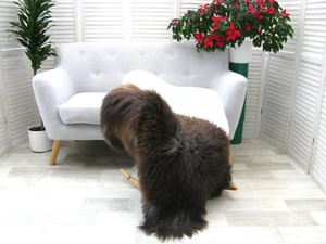 SHEEPSKIN RUG BRITISH HERDWICK REAL SOFT DENSE FUR SKIN NATURAL CHAIR COVER J387 - Picture 1 of 15