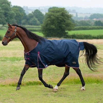 Gallop Trojan / Ponie Duraproof 50g Horse Turnout Rug, Std Neck Lightweight Rug - Image 1 of 2