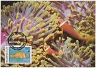 Maledives Maxi 1986, Anemone Fish (Amphiprion nigripes), mint