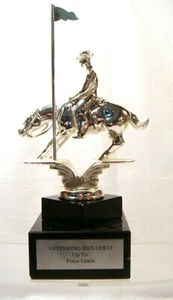 BANDERA DE RODEO DE METAL DE COLECCIÓN CABALLO DE CARRERAS PLATA WESTERN CABALLO BANDERA CARRERA - Imagen 1 de 6