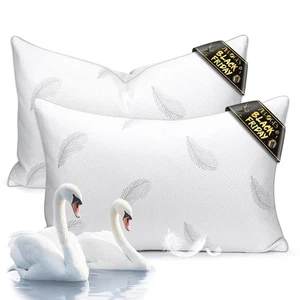 Goose Feather Pillows Bed Pillow - Hotel Down Pillows Queen Size Set of 2, Ul... - Bild 1 von 8