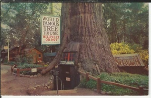 World Famous Tree House Laytonville California ~Std Size Chrome - Picture 1 of 1