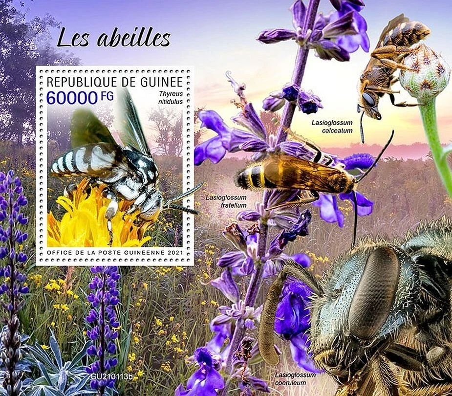 BEES & Flowers / Winged Insects / Bee MNH 1v-Stamp Sheet #52 (2021 Guinea) - Image 1 of 1
