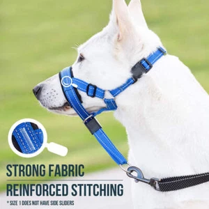 Robuster Nylon Hundemaulkorb - Bild 1 von 20