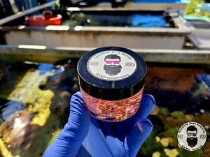 4oz LIVE Coralline Algae 4 Types!!! GREAT FOR STARTING CORALINE IN SALTWATER - Picture 1 of 1