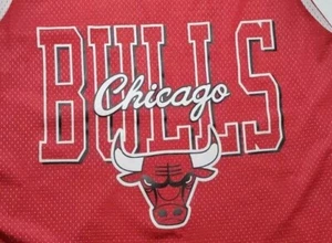 Mitchell & Ness Herren Chicago Bulls Basketball Wendetrikot Gr. 2XL rot weiß - Bild 1 von 18