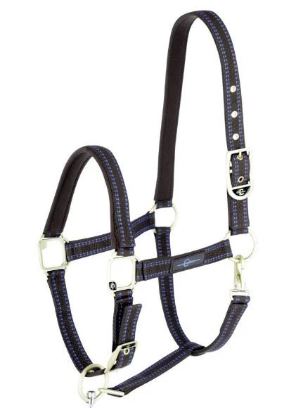 Pferdehalfter für GoLeyGo 2.0-System braun hellblau - Bild 1 von 1