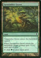 MTG - Zendikar - Turntimber Grove - Foil - NM