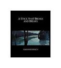 A Stick that Breaks and Breaks by Marianne Boruch (English) Paperback Book