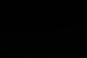 Tractor Supply Co ~ 2004 BLUE BOOK Farm Catalog ~ TSC - Bild 1 von 1