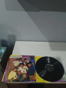 LP VINYL MENUDO.- HOLD ME - Picture 1 of 3