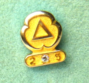 ⛽️ Cities Service Gas/Oil Co. 14K employee service award tie pin with a real 💎 - Picture 1 of 6