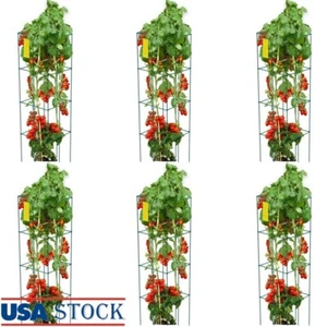 Square Tomato Cages 6 Pack Support Towers Climbing Plants Vegetables Fruits New - Picture 1 of 9