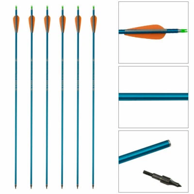 6/12pcs  Archery Aluminum Arrows Compound/Recurve Bow SP500 Hunting Target - Image 1 of 4