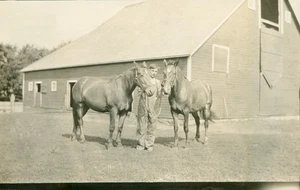 Vintage RPPC Man with 2 nice looking horses - Picture 1 of 2