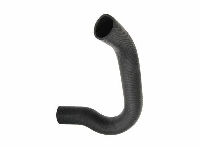 Manguera de radiador inferior para Ford F150 1980-1984 1982 1981 1983 T638MY Foto 1 de 1