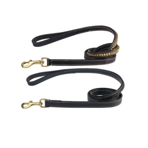 Echtleder Pharao 6’ Hundeleine von Zack & Zoey LEINE - Bild 1 von 4