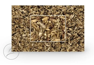 4kg Stieglitz Vogelfutter von avi-complete