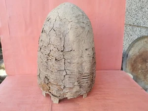 ANTIKER TRADITIONELLER BULGARISCHER BIENENSTOCK STROHKEPS HANDARBEIT IMKER ERBE - Bild 1 von 8