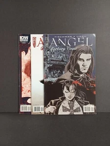 Angel: Barbary Coast #1-3 Cover B Complete Set - Picture 1 of 7
