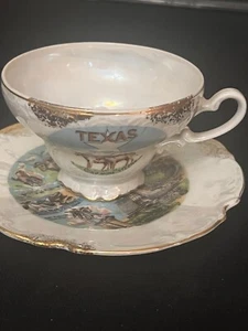 Vintage Texas Collectors Cup & saucer Victoria Ceramics Made in Japan - Picture 1 of 9