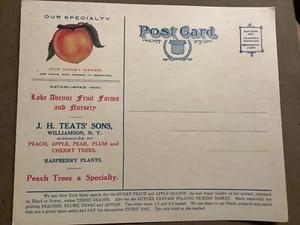 J H Teats Sons Fruit Farm & Nursery Williamson NY Vintage Werbung Postkarte - Bild 1 von 2